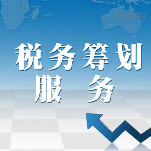 税务筹划服务